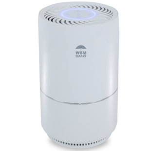 Homecraft discount air purifier